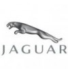 Chei cu Cip Jaguar